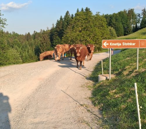 Kmetija Stotnkar